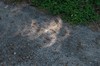 2017-08-21 Eclipse 118